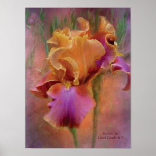 Poster d'art Iris Peint / Imprimer