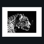 Poster d'art Jaguar Pop Imprimer - Posters Jaguar<br><div class="desc">Posters portraits Jaguar noir et blanc - Pop Art Jaguar Image - Big Wild Cats Prints - The Head of the Jaguar - Face of Jaguar</div>