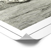 Poster d'art Jean-Léon Gérôme Zedign #228 (Coin)