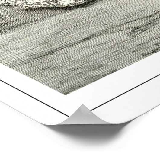 Poster d'art Jean-Léon Gérôme Zedign #228 (Coin)