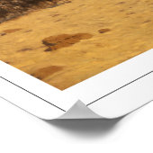 Poster d'art Jean-Léon Gérôme Zedign #332 (Coin)