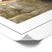 Poster d'art Jean-Léon Gérôme Zedign #94 (Coin)