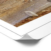 Poster d'art JMW Turner Zedign #8 (Coin)