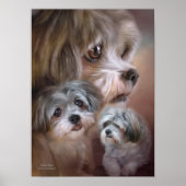 Poster d'art Lhasa Apso / Imprimer (Devant)