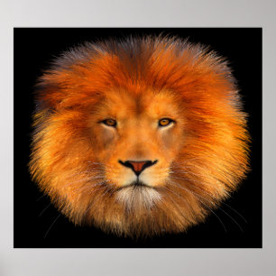 Poster d'art Lion's Mane