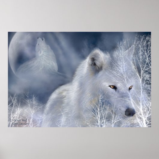 Poster d'art Loup blanc/Imprimer (Devant)
