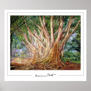 Poster d'art Marianne North Zedign #5