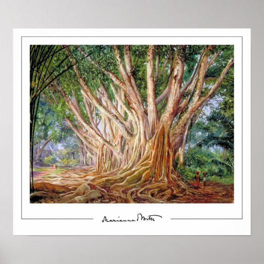 Poster d'art Marianne North Zedign #5 (Devant)