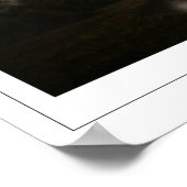 Poster d'art Martin Johnson Heade Zedign #104 (Coin)