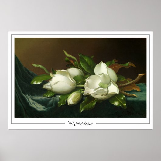 Poster d'art Martin Johnson Heade Zedign #12 (Devant)