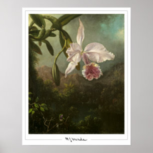 Poster d'art Martin Johnson Heade Zedign #2