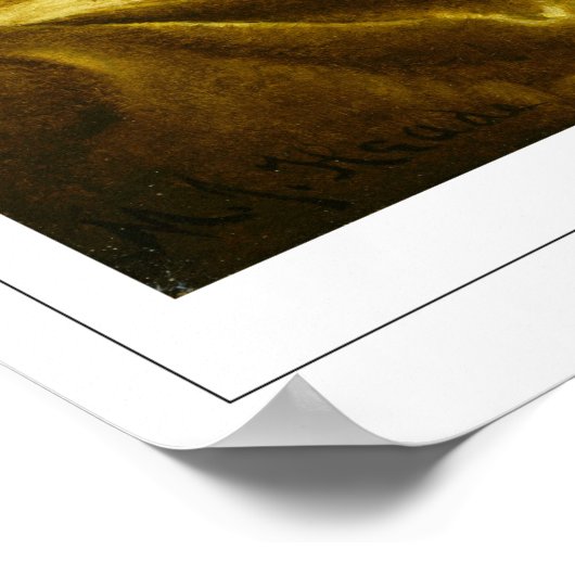 Poster d'art Martin Johnson Heade Zedign #27 (Coin)