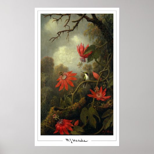 Poster d'art Martin Johnson Heade Zedign #36 (Devant)
