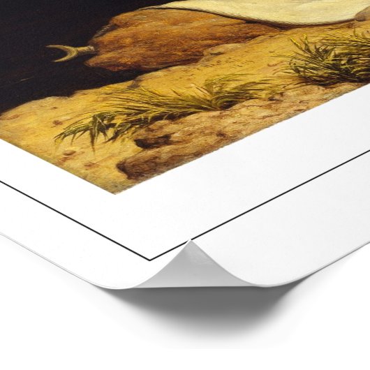 Poster d'art Martin Johnson Heade Zedign #40 (Coin)