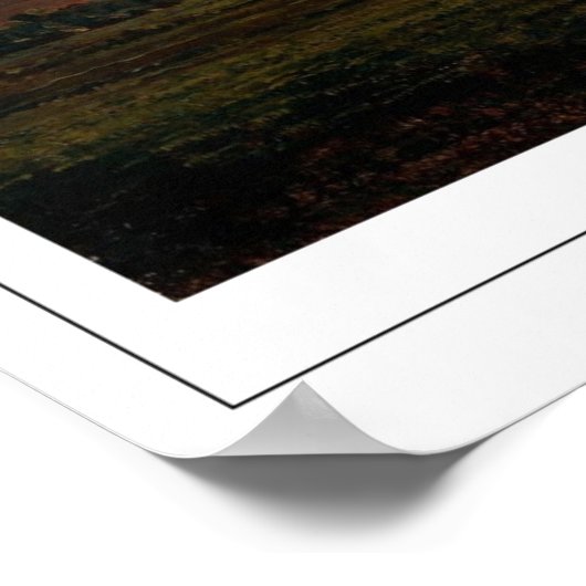 Poster d'art Martin Johnson Heade Zedign #70 (Coin)