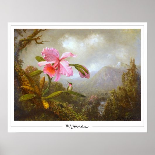 Poster d'art Martin Johnson Heade Zedign #8 (Devant)