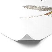 Poster d'art Mayfly de la côte Est (Coin)