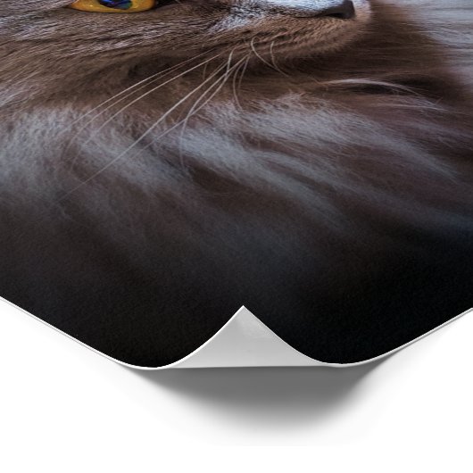 Poster d'art mural d'un chat bleu russe (Coin)