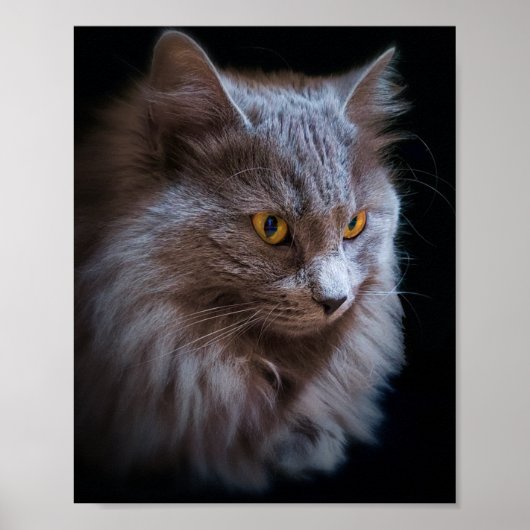 Poster d'art mural d'un chat bleu russe (Devant)