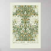 Poster d'art mural William Morris Pimpernel (Devant)