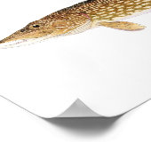 Poster d'art Muskie & Pike (Coin)