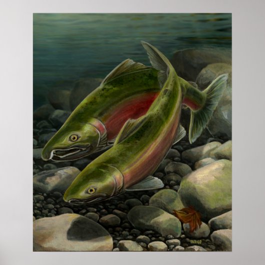 Poster d'art nature Coho Saumon Pêche Art Imprimer (Devant)