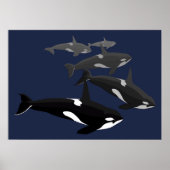Poster d'art orca Whale Killer Whale Art Prints Ca (Devant)