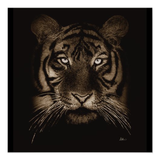 Poster d'art original Tiger Imprimer (Devant)