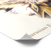 Poster d'art ornithologique (Coin)