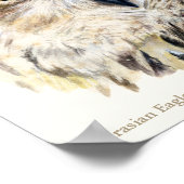 Poster d'art ornithologique (Coin)