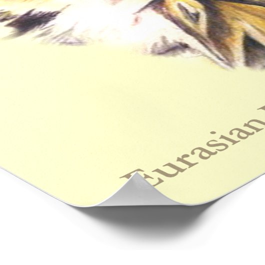 Poster d'art ornithologique (Coin)