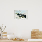 Poster d'art ornithologique vintage (Cuisine)
