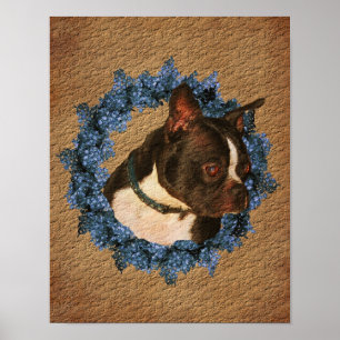 Poster d'art papier vieilli de Boston Terrier Wrea
