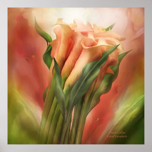 Poster d'art Peach Callas/Imprimer (Devant)
