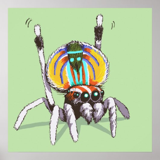 Poster d'art Peacock Coloré (Devant)
