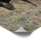 Poster d'art photo Ensemble Chevaux et Ours (Coin)