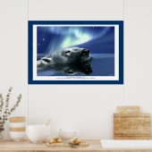 Poster d'art POLAR BEAR & AURORA (Cuisine)