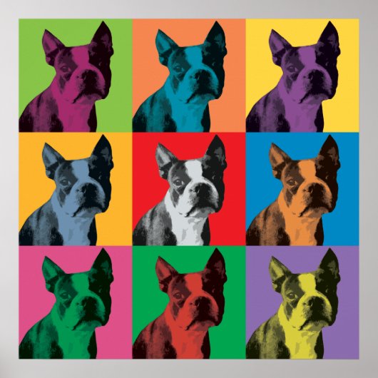 Poster d'art pop de Boston Terrier (Devant)