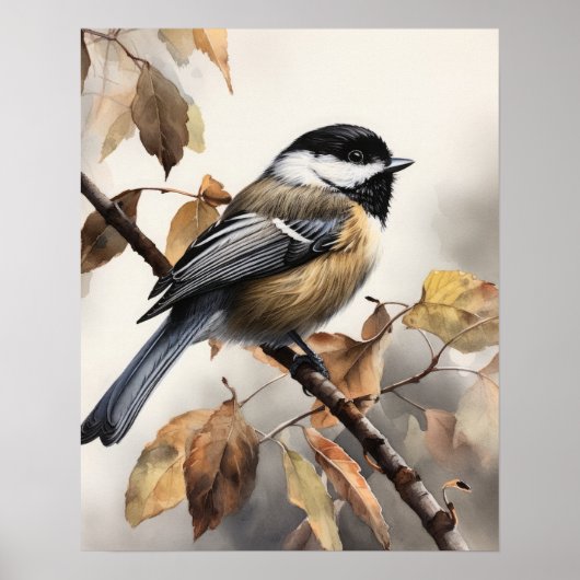Poster d'art pour oiseaux en chickadee (Devant)