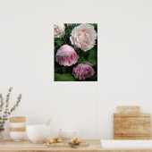 Poster d'art Pretty Pink Peony (Cuisine)