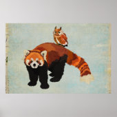 Poster d'art Red Panda & Owl (Devant)