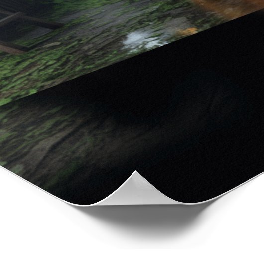 Poster d'art "Reflet Windows" Imprimer Katty Pulsa (Coin)