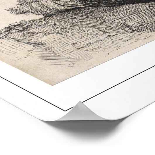 Poster d'art Rembrandt van Rijn Zedign #49 (Coin)