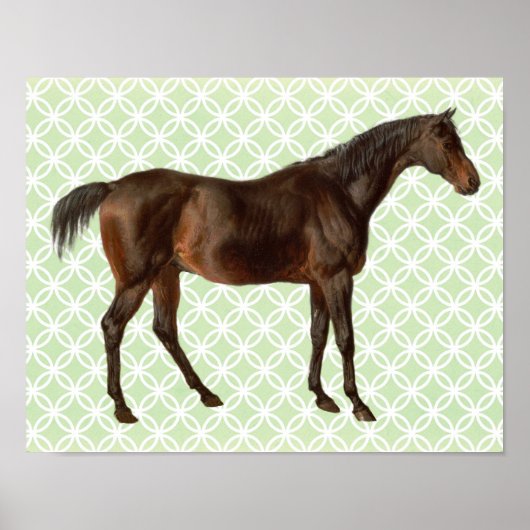 Poster d'art rétro de cheval vintage illustré (Devant)