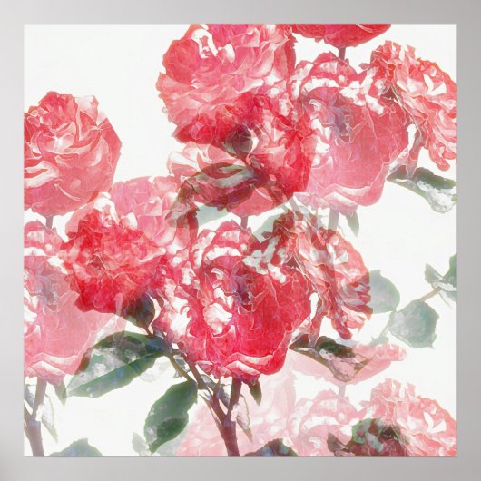 Poster d'art rose Bloom Illusion (Devant)