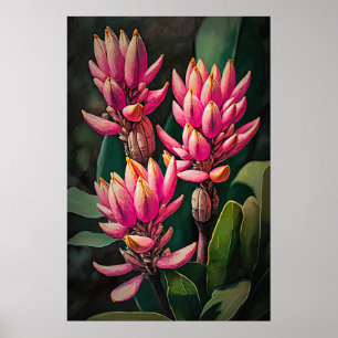 Poster d'art rose Curcuma