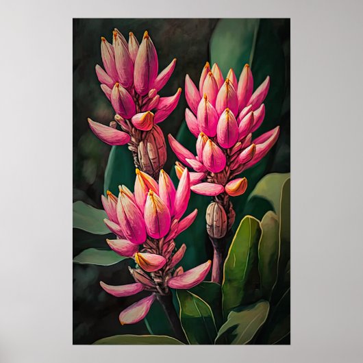 Poster d'art rose Curcuma (Devant)