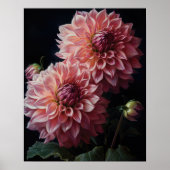 Poster d'art rose Dahlia (Devant)