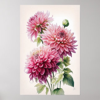 Poster d'art rose Dahlia
