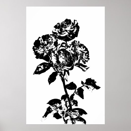 Poster d'art Rose illustré noir et blanc (Devant)